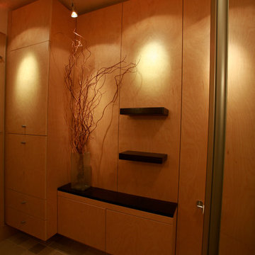 wall panel, linen closet and tv compartment
