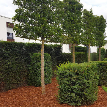 Hausgarten Rüter - Swinging Garden