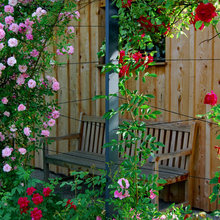 Landscape Ideas