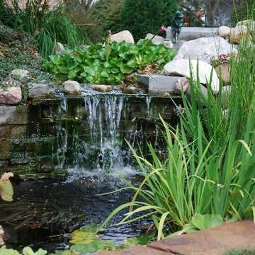 Water Gardens