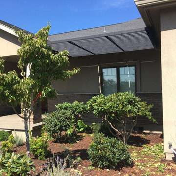 Sunscreen/Patio Roof