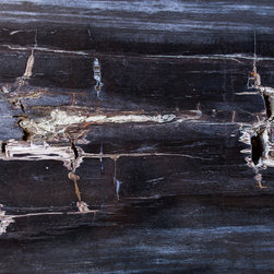 Petrified Wood Online Store - Products