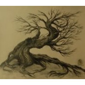 Elena Ortiz's photo