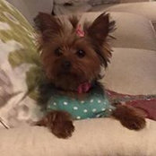 Penny White's photo