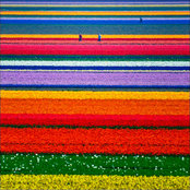 Maggie Schroeder's photo