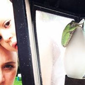 Katie Moore's photo