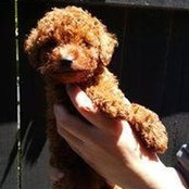 Coby Tiffin's photo