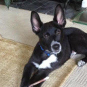 Danielle Vermette's photo