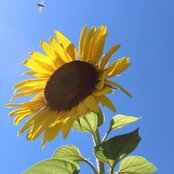 Foto von Rosann Gerhardt