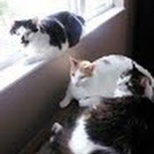Carole James's photo
