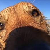 Annie Little's photo