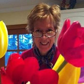 Foto von Sue Collins