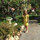 Loretta Lachner