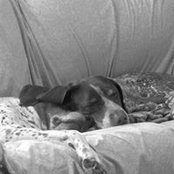 Lynn Rodriguez Glenn's photo