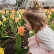 Kimberly Weintraub's photo