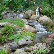 Backyard Oasis