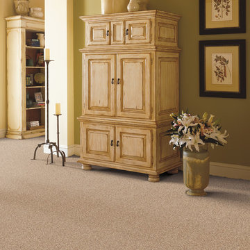 Exclusive to TLC – Innovia, an eco-friendly choice