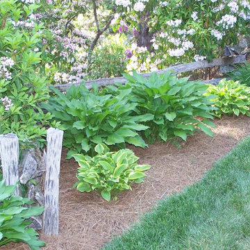 Ellen's Garden Landscape and Water Feature Fountain/Pond (Design/Build/Maintain)