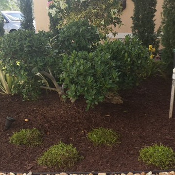Coral Springs 7