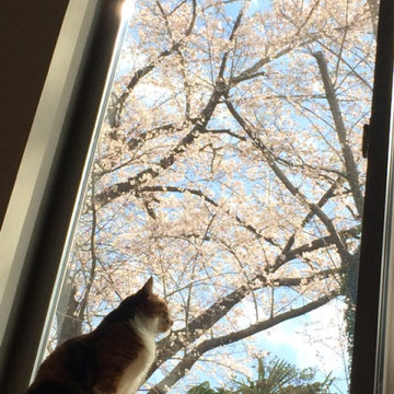 大倉山の家