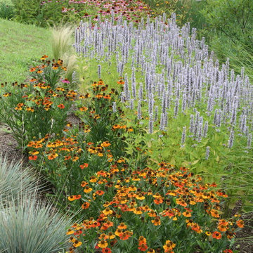 Waterfront Garden, Greenwich CT