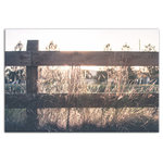 DDCG - Sunlit Farm Fence Photography 24x36 Canvas Wall Art - With a touch of rustic, a dash of industrial, and a pinch of modern elegance, this wall art helps you create a warm and welcoming space in your home. Digitally printed on demand with custom-developed inks, this  design displays vibrant colors proven not to fade over extended periods of time. The result is a beautiful piece of artwork worthy of showcasing in your home.