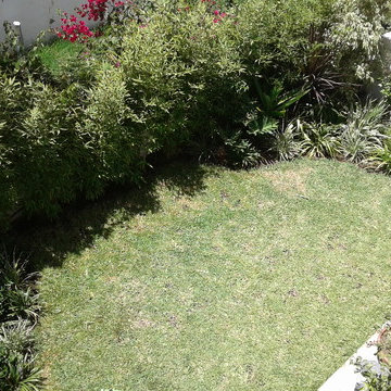 Villa green town