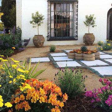 Vivacious Mediterranean Front Yard
