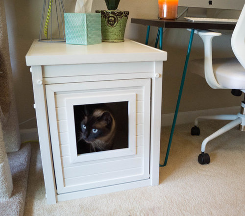 how often do you clean a litter box
