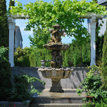 Arbor/Landscape