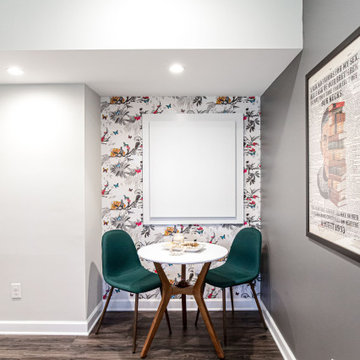 Roswell Basement w/ Recording Studio