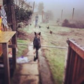 Jonathan Kupkowski's photo