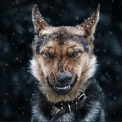Avo K's photo