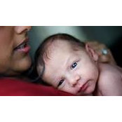 Lisa Sullivan's photo