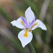 Donna Drinkwater's photo