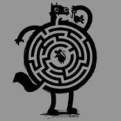 Daniel Kato's photo