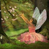 Darlene Flaig's photo