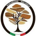 Foto di profilo di Fodaroni Michele