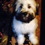 Rico Suave's photo