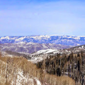 Andy Chartier's photo