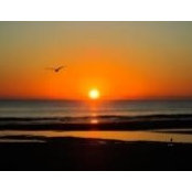 Margo Mudge's photo