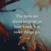 Carlola Foster's photo