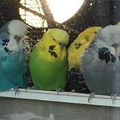 Andrea Deuber's photo