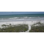 Laurie Bonnett's photo