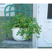 Barb Gmeinder's photo
