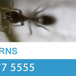 Pro Pest Control Cairns - Products