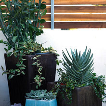 back patio