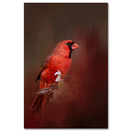 Jai Johnson 'Cardinal In Antique Red' Canvas Art, 47 x 30