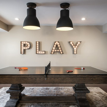 Lower Level Perfect for Fun & Games in St. Charles