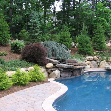Pool Deck & Oasis